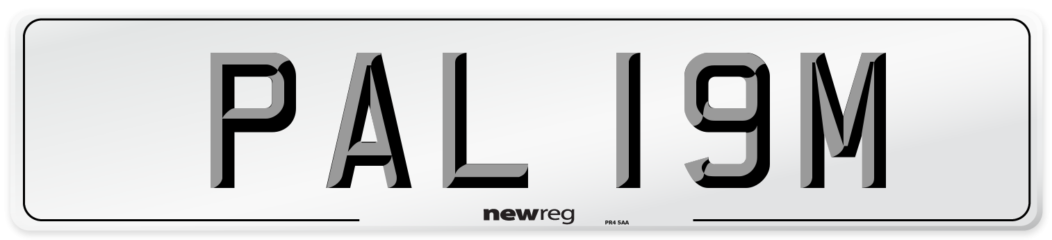 PAL 19M Number Plate from New Reg